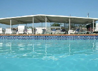 Pondarosa