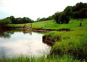 OLTLAKE